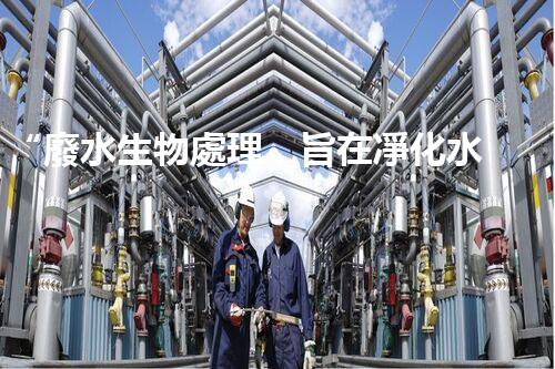 “廢水生物處理，旨在凈化水源，守護碧水藍天”
